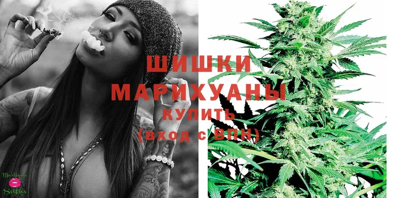 Бошки марихуана Ganja  маркетплейс какой сайт  Нюрба  гидра онион 